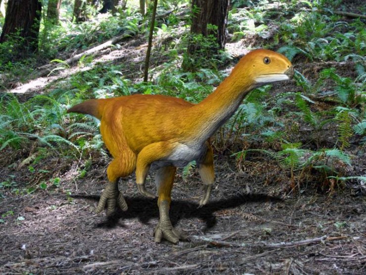 Chilesaurus_NT_small